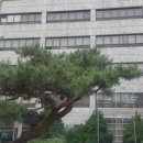 비자인행정사사무소 이미지