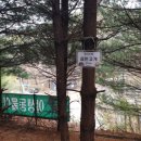 칠봉산 C.C 이미지