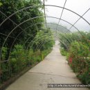 팔매숲공원 이미지