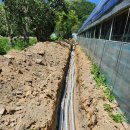 희원 농장 이미지