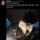 해플 이미지