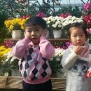 빈이농장 이미지