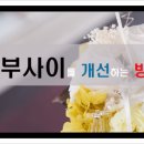 강라온심리상담센터 이미지