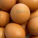 양촌농원 1농장 이미지