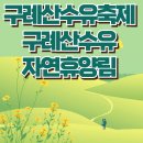 구례군종합사회복지관 | 봄의 전령사, 구례산수유축제 맛집, 일정, 기간, 장소, 입장료, 주차, 출연가수 구례산수유자연휴양림...