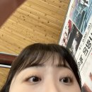 도미진낙곱새 이미지