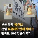 꼼쥬브 네이버블로그