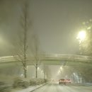 분당내곡간 고속도로 | 분당내곡간 고속도로, 개미지옥에서 빠져나오다.