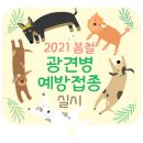 광진24시 필동물병원 이미지
