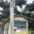 명당 | 서울 아덱스 에어쇼 2025 아기랑 방문 주차꿀팁, 일정, 명당 후기