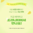 페디아플러스이촌지점 | [공지] [5월 프로모션] 트리니티 윤곽 조각술 플러스