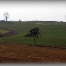 푸른들목장 이미지