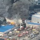 불로식자재마트