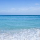 세인트의원 이미지