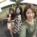 고니식당 이미지