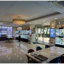 강아지와 고양이 이미지