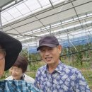 아침농장임실 이미지