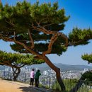 수원-0341 Daum카페