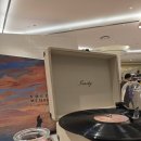 voyage | 플로로도라 X voyage of spring 팝업매 후기, 비클린에서 만난 감성 콜라보
