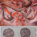 나라4호 이미지