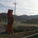 순천향매실마을 이미지