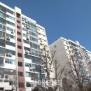 재건축에 물 만난 압구정…아파트 매물 &#39;쏙&#39;, 가격 &#39;쑥&#39; 이미지