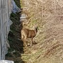 윤씨농장 이미지