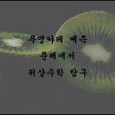 시각공간-위상 이미지