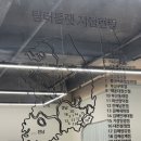 팀 터틀랫 휘트니스 갈마점 이미지