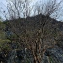 클래식기타 (B) | B.T.C 베어 트레일 캠프 - 킹스로드 영월 2026 (첫 참가 후기)