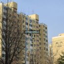 압구정-205 이미지