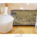 카페 콩가 이미지