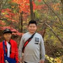 포천 한국 태권도장 네이버블로그