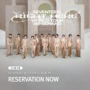 소노하이브 이미지