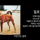 일호 이미지