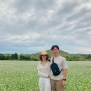 포레스트선흘 이미지