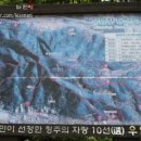 우암산등산로1 이미지