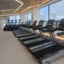 [디렉스 새제품] 런닝머신, 천국의계단(DSC6 / DSC6X), 무동력트레드밀, 마이마운틴 이미지