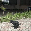사랑해사랑해호프 네이버블로그