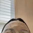 세상에 나쁜 휴학은 없다