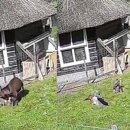 소란농장 이미지