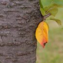 임진강목장 이미지