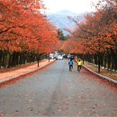 보문관광단지 이미지