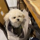 황제해물선해물칼국수 일산대게애니골직영점 이미지