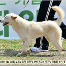 수컷 이미지