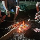 스테이333 이미지