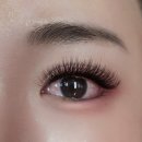 미쓰고속눈썹 - 청주시 흥덕구 서현북로 58 | 미쓰고속눈썹