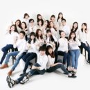 다니고푸드 네이버블로그