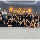 천안와이어주짓수 네이버블로그