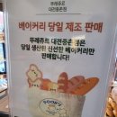 뚜레쥬르대전중촌점 | 뚜레쥬르 빵 추천 판매 1위 소금버터롤 KT 달달 혜택 30% 할인 구매 후기